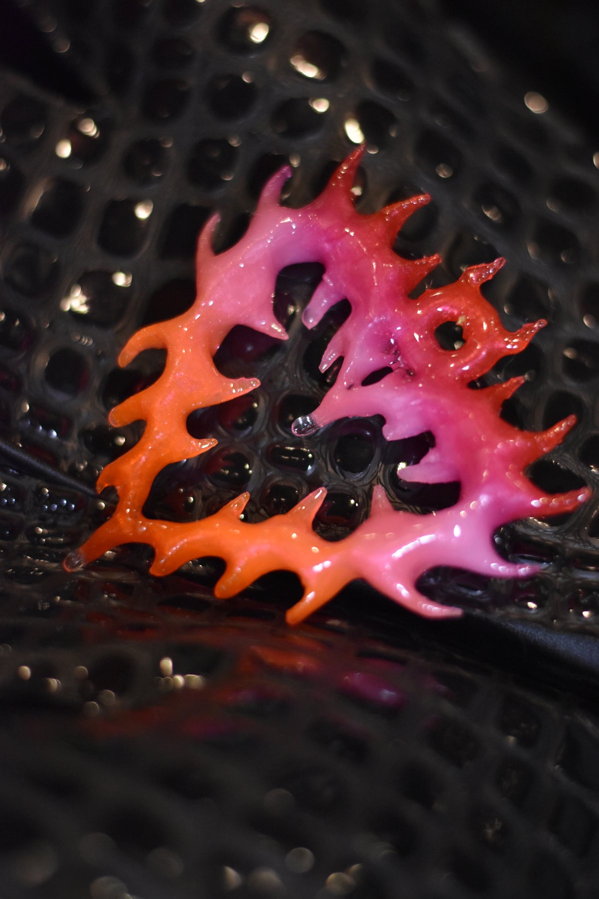 💕Thorny Heart - Lesbian Colors