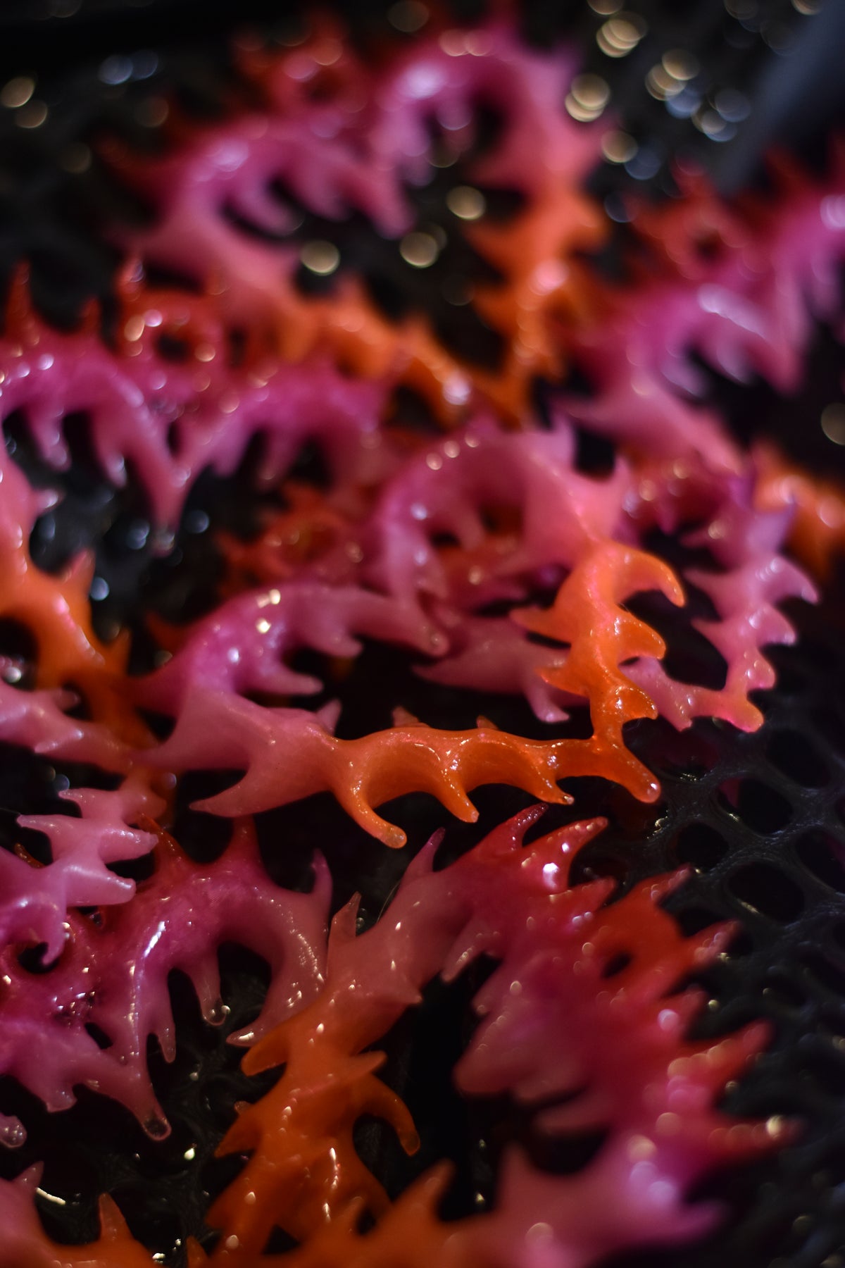 💕Thorny Heart - Lesbian Colors